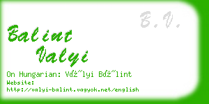 balint valyi business card